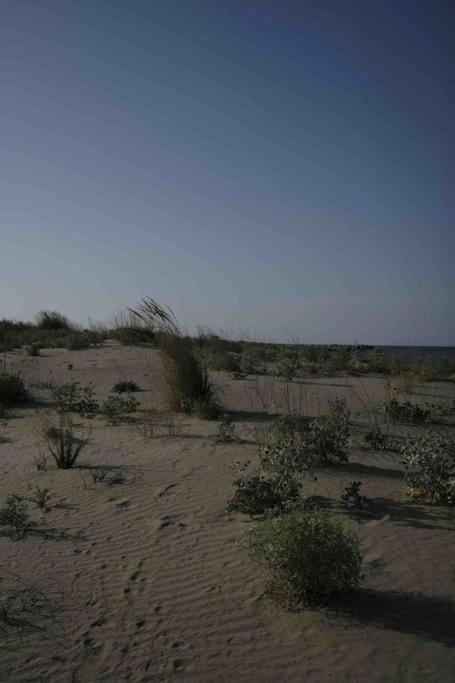 Casa Vacanze Campomarino Kültér fotó